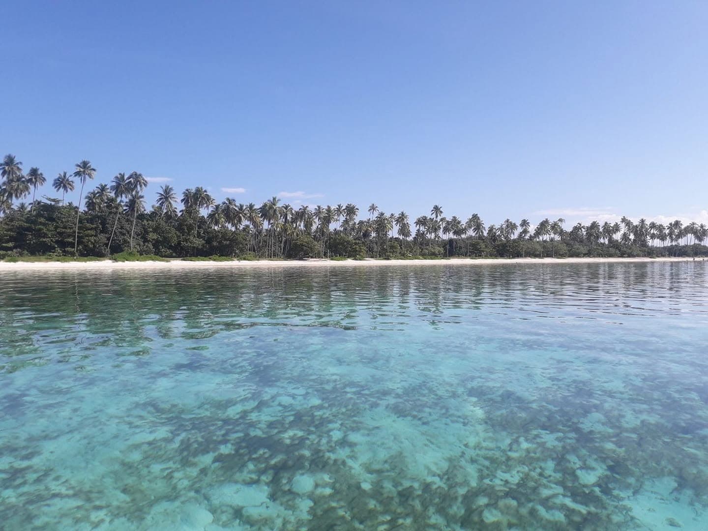Cocoteraie de Tetiaroa bordant une plage et un lagon cristallin