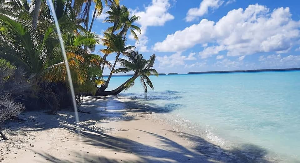 Plage ombragée de cocotiers face au lagon turquoise de Tetiaroa