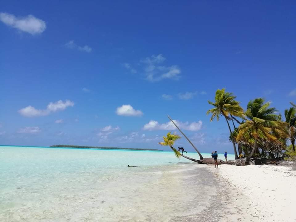 Plage blanche, palmiers et lagon turquoise à Tetiaroa